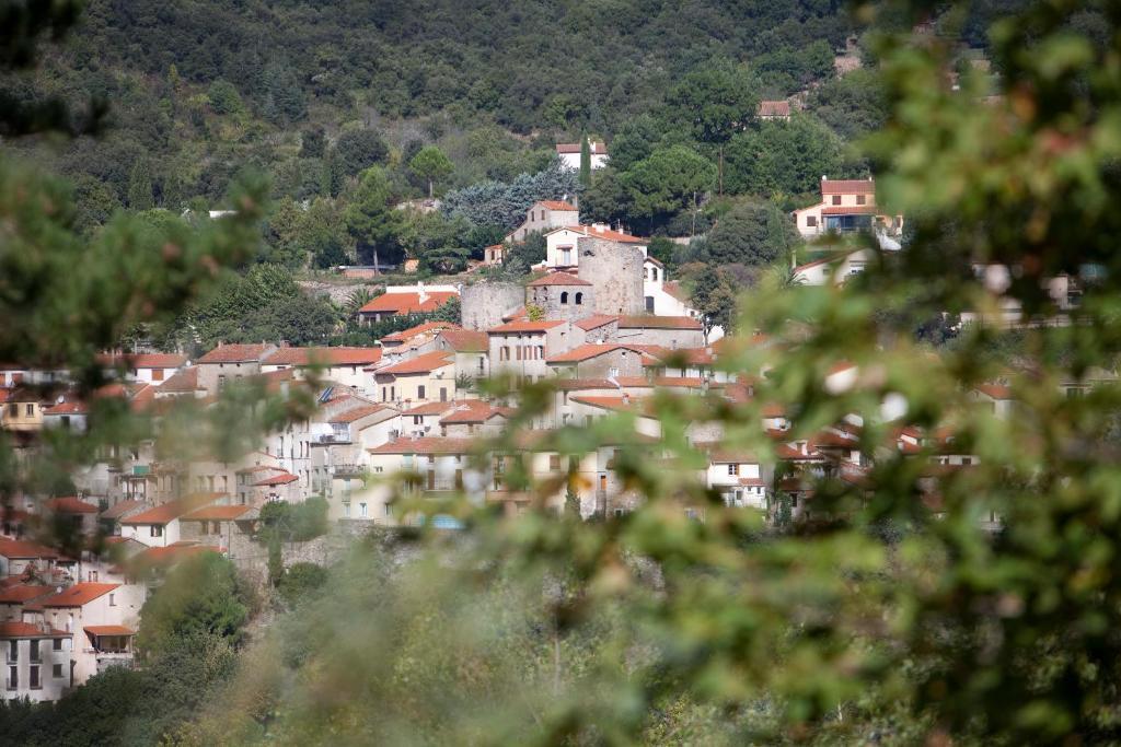 La Pinede Hotell Amélie-les-Bains-Palalda Rom bilde